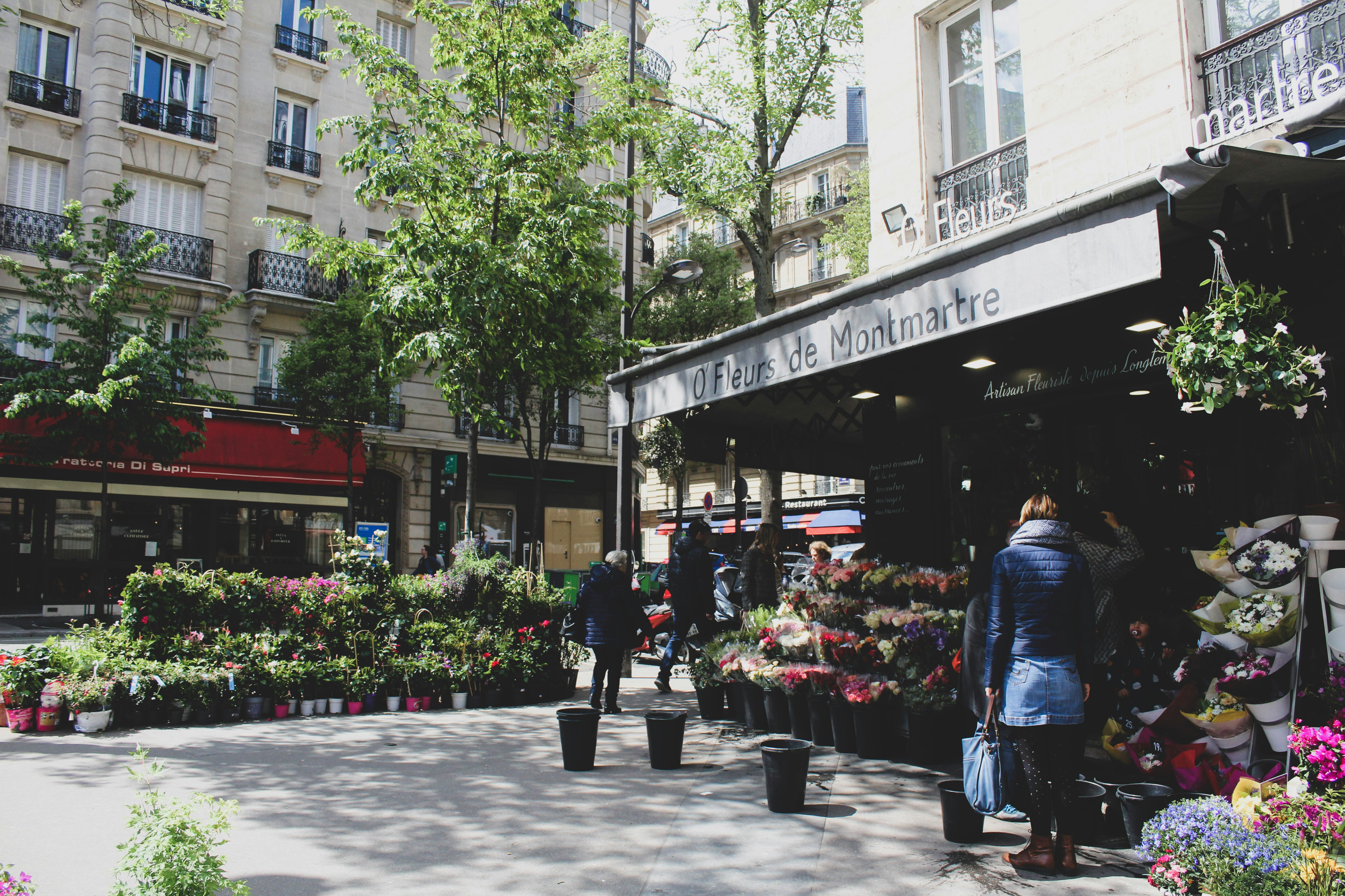 Image 6 de Paris